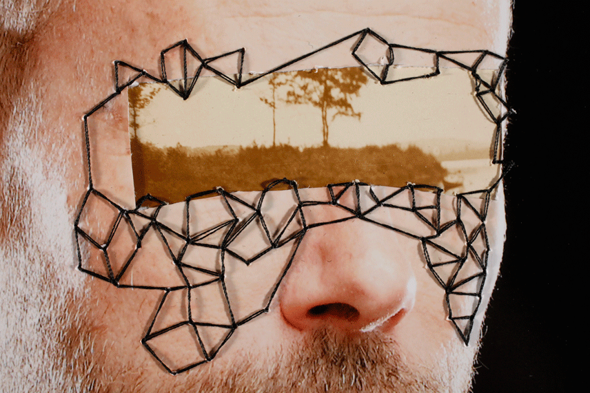 detail-the-wilderness